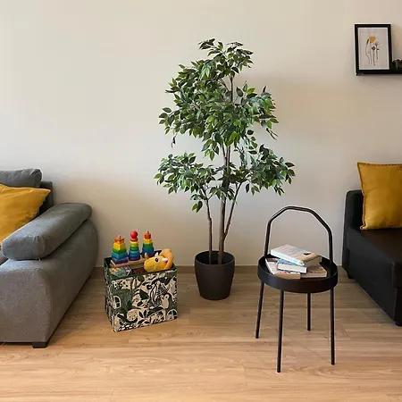 Ankor Apartment